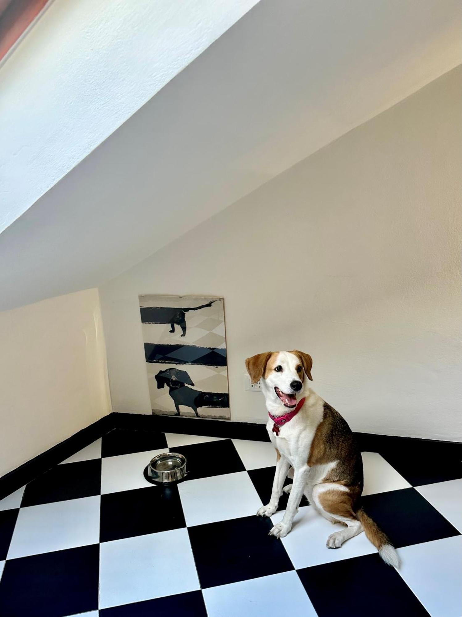 Apartamento La Mansarda Del Principe, Vicoli, Acquario E Lanterna Génova Exterior foto